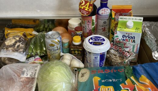 石垣島で安い食材はこれだ！コスパ抜群の栄誉満点地元食材トップ6